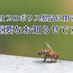 重要なお知らせ